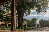 Universidad de Antioquia - 2025 - Sede Medellín 