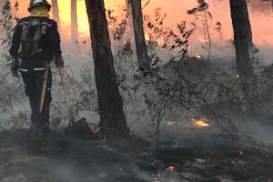 Un gigantesco incendio, ocasionado por pirómanos, se registra a esta hora en el cerro Quitasol de Bello