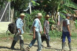 Las familias campesinas llegan de Tarazá a Medellín es búsqueda de albergues temporales. 