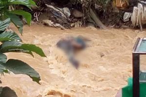 Atado de pies y manos, hallan el cadáver de un hombre en quebrada de Bello