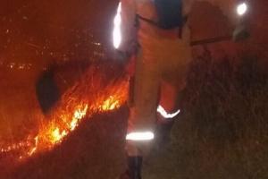 Organismos de emergencia  de Medellín apoyaron incendio en el cerro de las tres cruces