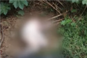 Líder social de Bello denunció que le echaron ACPM y la trataron de incinerar
