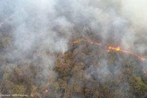 Vista aérea de incendio forestal 