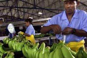 Augura destacó el estricto protocolo de bioseguridad y calificó a los trabajadores como “héroes”.