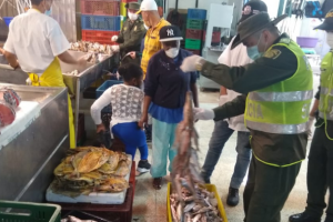 La policía incautó 80 kilos de pescado en operativo sorpresa en locales del centro de Medellín