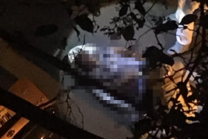 Dos hombres y una mujer fueron asesinados en un nuevo hecho de terror Bello
