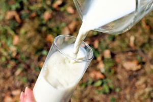 Alcaldía de Abejorral, Antioquia, pagó 8 mil pesos por un bolsa de leche