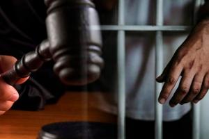 El penalista pagará cinco años de cárcel y millonaria multa.