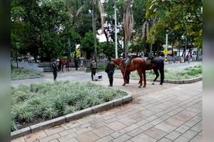 El objetivo disminuir la curva de contagiados en la cuidad.