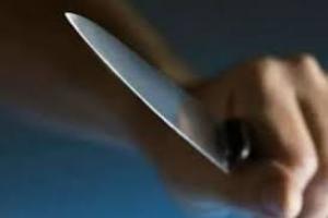 La mujer se declaró culpable para obtener rebaja de penas.