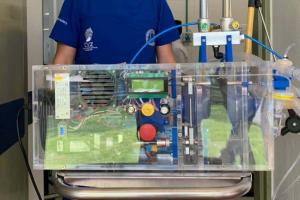 La ciudad tiene más de 2 mil casos activos de la enfermedad.