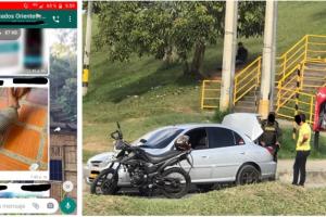 Hombre capturado por intentar vender un armadillo