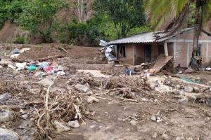 $1.800 millones, las pérdidas en cultivos en Dabeiba tras derrumbes