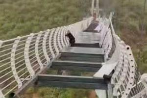 Accidente en puente de cristal en China