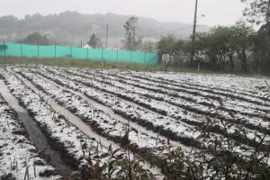 Granizada en Santa Elena