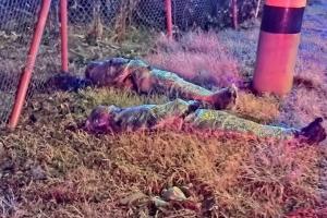 Siete embolsados en un mes, ¿Qué sucede en Medellín y Valle de Aburrá? 
