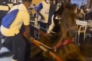 Indignación por nuevo caso de maltrato animal con un caballo en Cartagena 