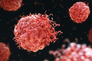 Descubren el primer anticuerpo que ataca las células madre del cáncer y frena la metástasis