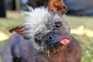 Jeneda Benally presenta a su perro Mr. Happy Face 