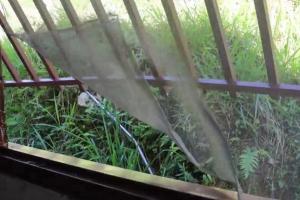 Robo en escuela de Campamento, Antioquia