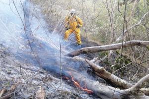 Incendios en Antioquia este fin de semana