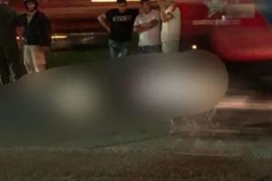Fue arrollado e inmediatamente murió, a la altura de Guarne