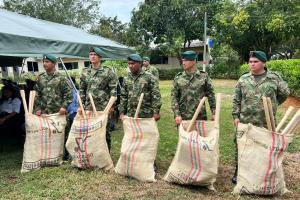 Siembra de árboles en Bajo Cauca 