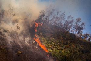 Incendios forestales en Medellín
