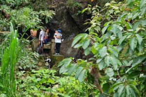 Referencia a charco en Antioquia 