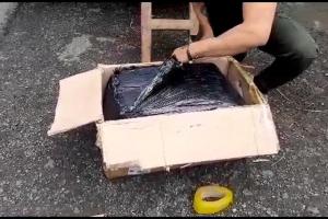 Marihuana incautada en Antioquia