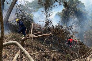 Tres nuevos incendios de cobertura vegetal están atendiendo las autoridades en Medellín 