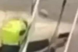 Un Policía le disparó a un perro, luego de morder a su compañero en un procedimiento en Caldas