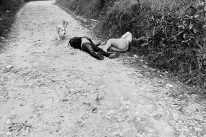  “Antioquia reporta la tasa de homicidios más baja en los últimos 50 años”: Gobernador