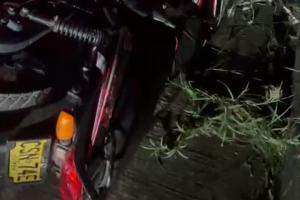 Un joven murió arrollado en plena caravana de Halloween en Caucasia, Antioquia