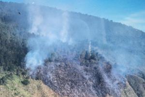 Diez hectáreas afectadas luego del incendio en Santa Elena, Medellín 