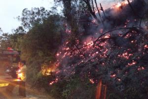 Incendios Antioquia