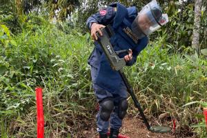 San Carlos libre de sospecha de minas antipersonal tras despeje de 24.000 m² 