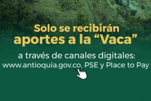 Canales oficiales Vaca Antioquia