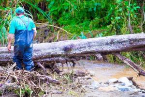 Emergencias en Urrao