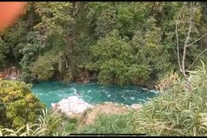 Coloración azul en La Iguaná