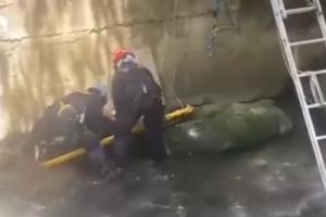 Hallaron el cadáver de un hombre desfigurado en un río de Ciudad Bolívar