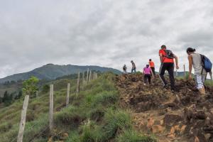 Cerro Quitasol 