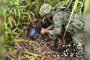 Violencia en Norte de Santander | Terrorismo | Ejército Nacional | Convención | Cúcuta | Agosto 2024