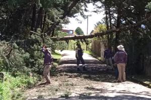 Lluvias en Antioquia dejaron emergencias en Guatapé y Anorí 