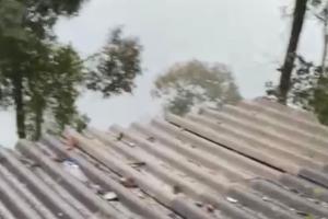 Lluvias en Betania 