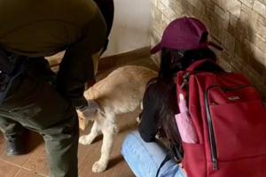 Maltrato de animales en Antioquia 