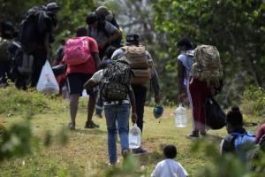 Imágenes de desplazamiento en el departamento de Antioquia 