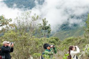 Proyecto Caminando entre las nubes para apoyar la flora amenazadaondo Europeo de Conservación 