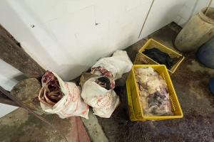 Descubren matadero clandestino que mezclaba carne rancia con químicos en Copacabana
