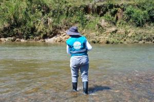 Investigan extraña muerte de peces 